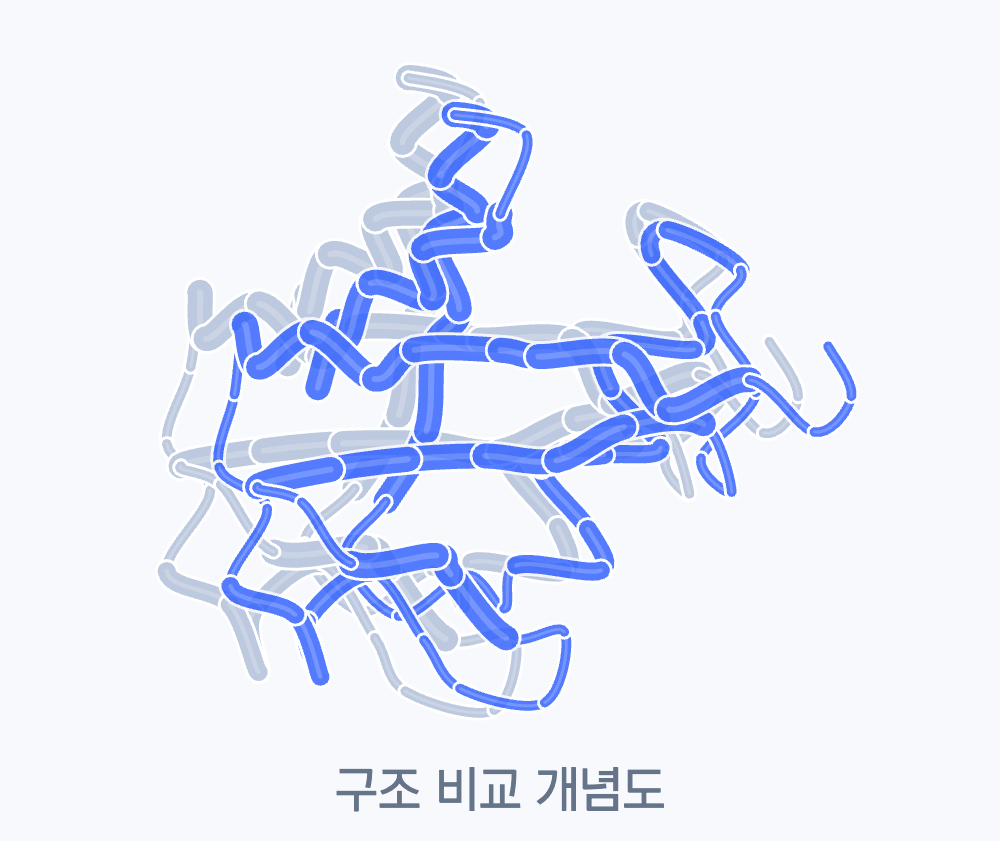 후보 구조 재검토 설명용 분자 그림