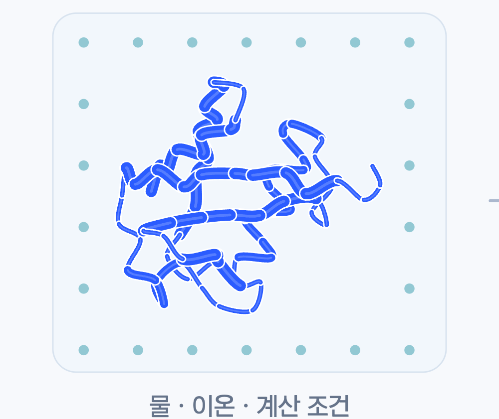 환경·계산 조건 준비 설명용 분자 그림